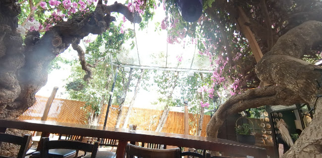 Tree Brasserie - הסעדה