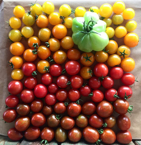 Opinii despre מסעדת צפון אברקסס של איל שני în תל אביב-יפו - הסעדה