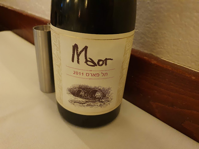 דולפין ים - Sea dolphin - ירושלים