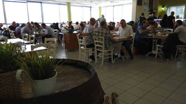 Comentarii opinii despre ריפרש