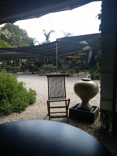 דורית וענת עוגות - רמת השרון