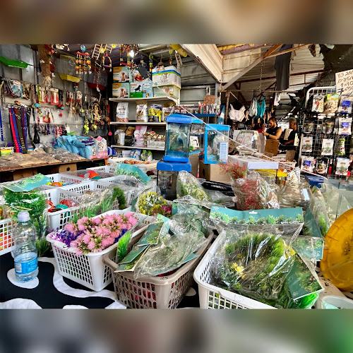 שוק טירה - טירה