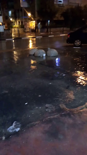 מאפיית הצבי