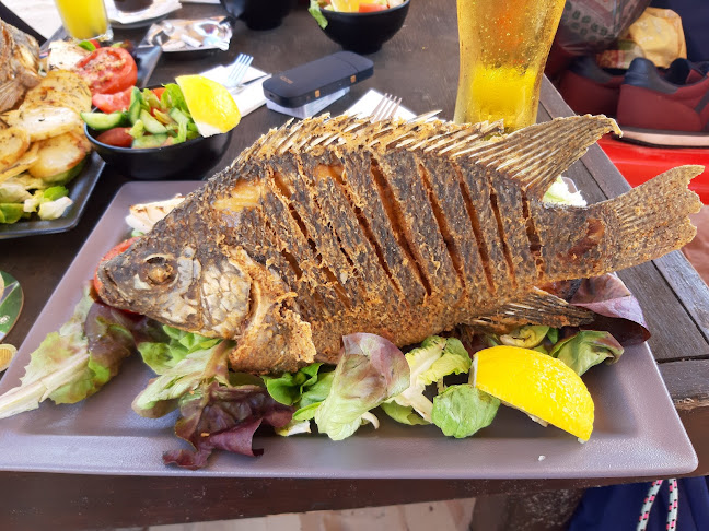 חוף לה מר תל-אביב | La Mer Beach Tel Aviv