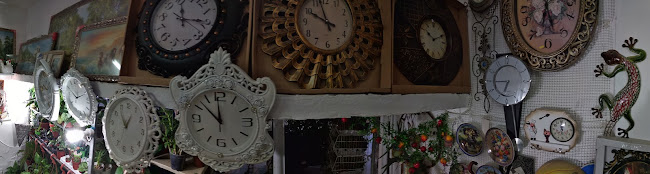 אורכידאה ירוחם