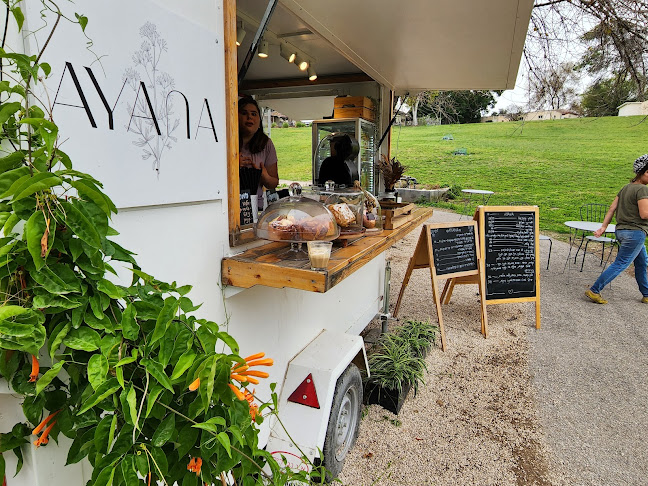 עגלת קפה עיינה - עין הנצי"ב