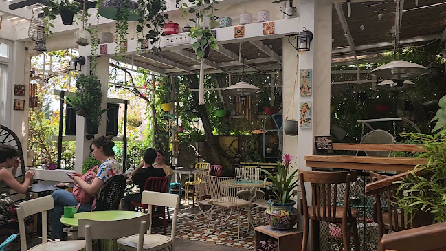 Opinii despre זריפה în ירושלים - הסעדה