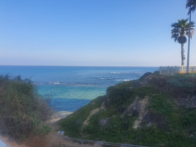 Opinii despre Sunset beach în בת ים - הסעדה