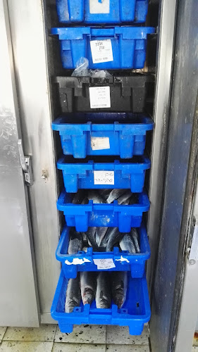 Opinii despre דגי פרדיס în טייבה - הסעדה