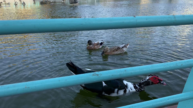 Comentarii opinii despre קפה גן סיפור אשדוד