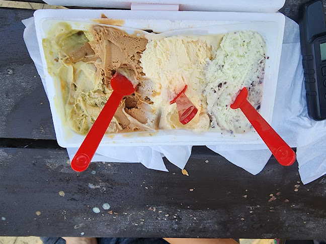 דם המכבים 61, מודיעין מכבים רעות