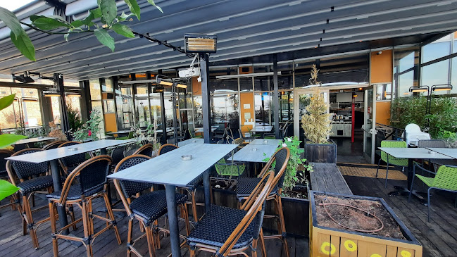 55 בירה אוכל בירה