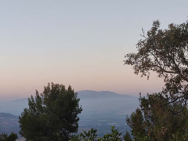 Comentarii opinii despre חוות בת יער