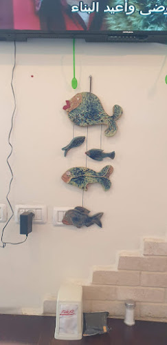 דגי האדי מיפו