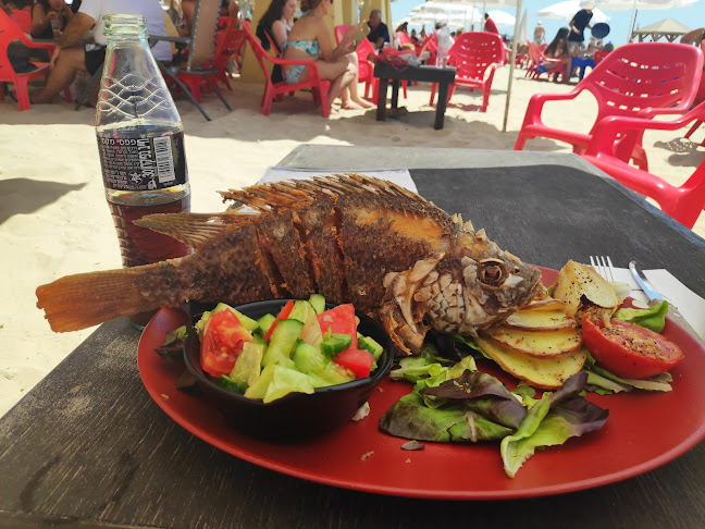 חוף לה מר תל-אביב | La Mer Beach Tel Aviv - תל אביב-יפו