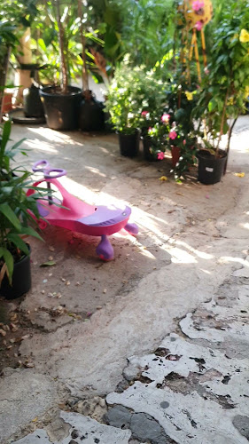 Comentarii opinii despre עולם החי והצומח