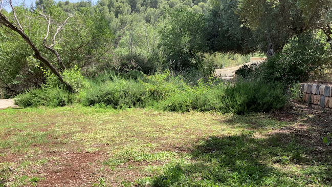 Comentarii opinii despre החלוצים ראש פינה בית קפה עגלת קפה