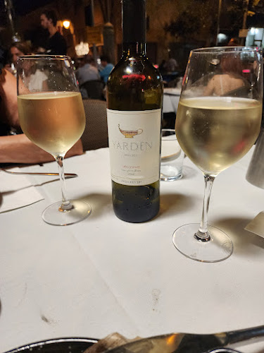 דולפין ים - Sea dolphin