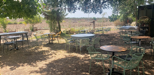 פופקומה בחצר