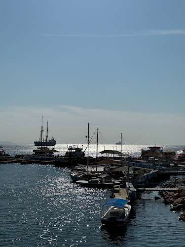 פוטטוס פיצה - הסעדה