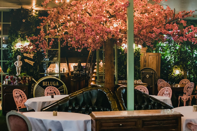 Comentarii opinii despre פנטסטיק