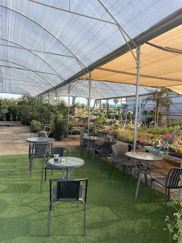 ירקפה עגלת קפה