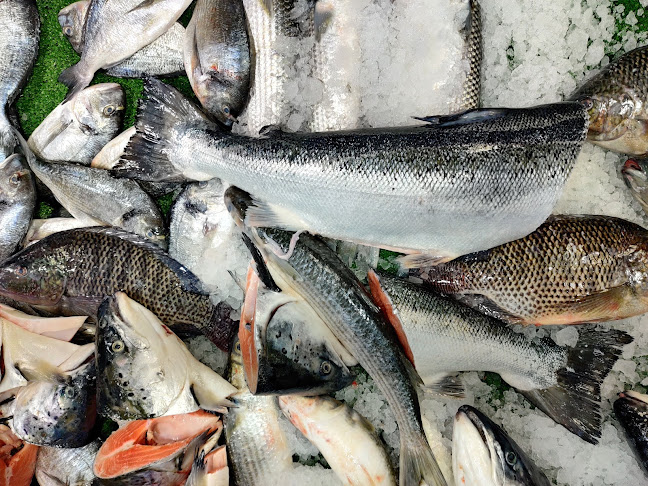 Comentarii opinii despre שירת הים - חנות דגים - בת ים