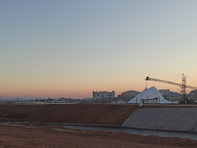 Comentarii opinii despre פלמינגו