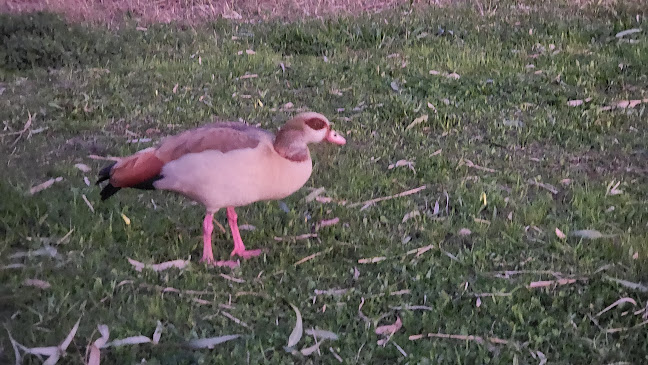 קפה גן סיפור - הסעדה