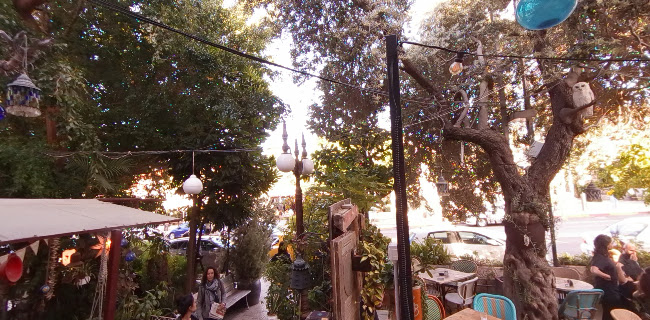 Opinii despre פטוש în חיפה - הסעדה