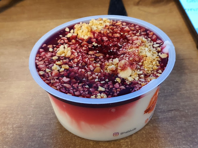 הפלודה - חולון