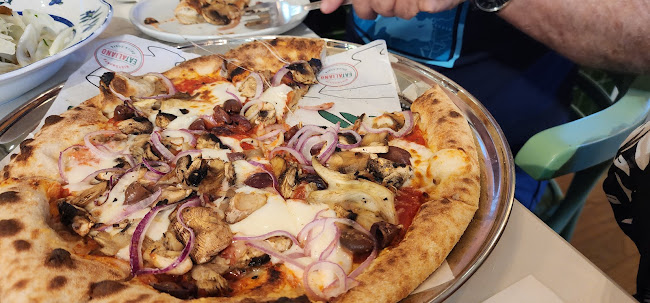 שדרות הנשיא 109, חיפה, 3464103