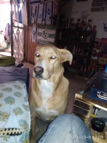 גן דבורה - הסעדה