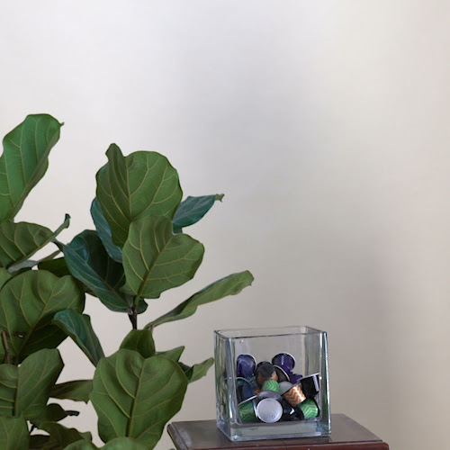 Opinii despre קפה אלג׳יר în תל אביב-יפו - הסעדה