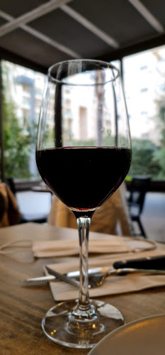 Comentarii opinii despre חוות צוק