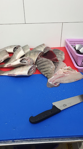 דגיי הקיבוצים רמת ספיר - חיפה