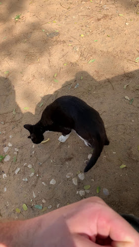 מקדונלד'ס - שרונה ת"א