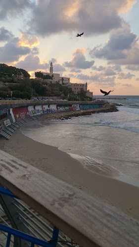 Opinii despre לחם בשר ראשון לציון în ראשון לציון - הסעדה