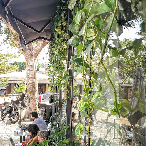 כיכר צינה דיזנגוף 1, תל אביב-יפו