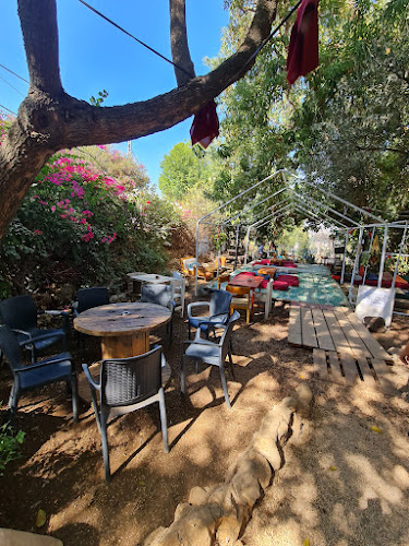 הנרקיס 2, ראש פינה, 1201429