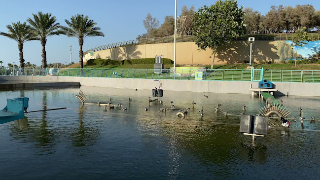 מפקורה 1, אשדוד