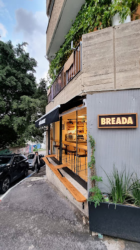 Comentarii opinii despre ברדא תלפיות