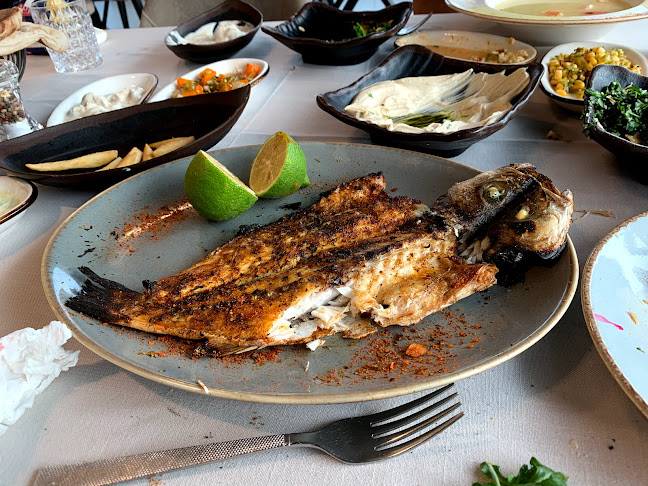 Comentarii opinii despre מסעדת בחרי