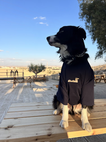 הדבשת - עגלת קפה במדבר