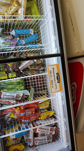 קשטן דלי בע"מ