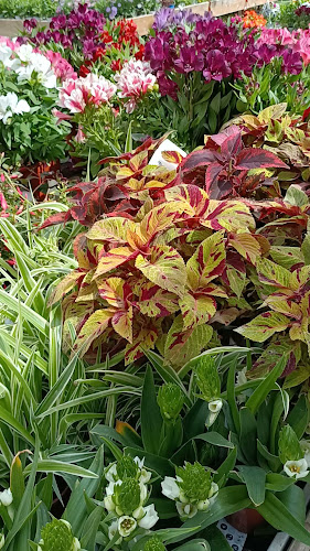 מקדונלד'ס - ביג באר שבע - הסעדה