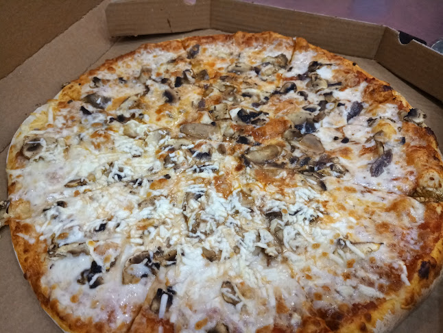 צפניה 47, אשקלון