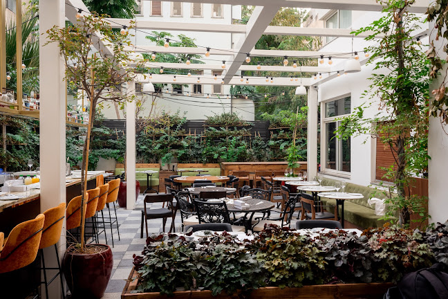 Comentarii opinii despre צ'נה תל אביב