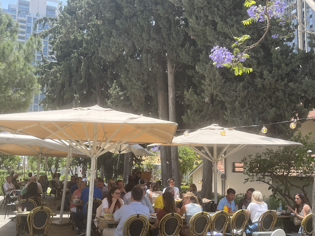 ביגה שרונה - תל אביב-יפו