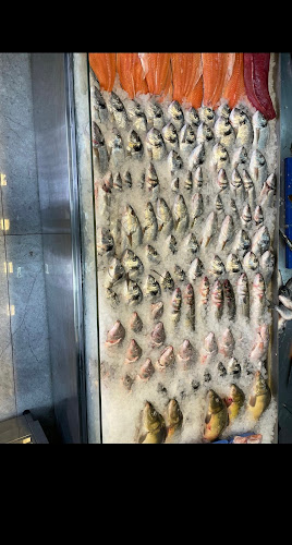 Comentarii opinii despre גבאי דגים ודייגים